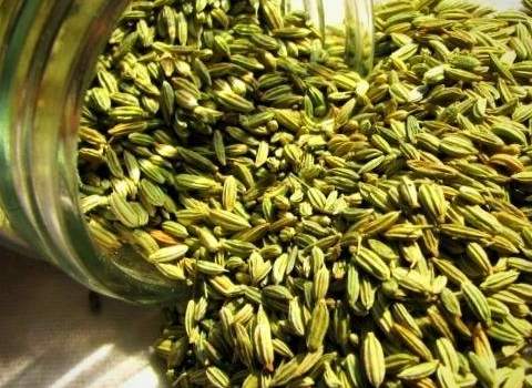 تصویر 5 از قیمت خرید زیره سبز کرمان + فروش ویژه
